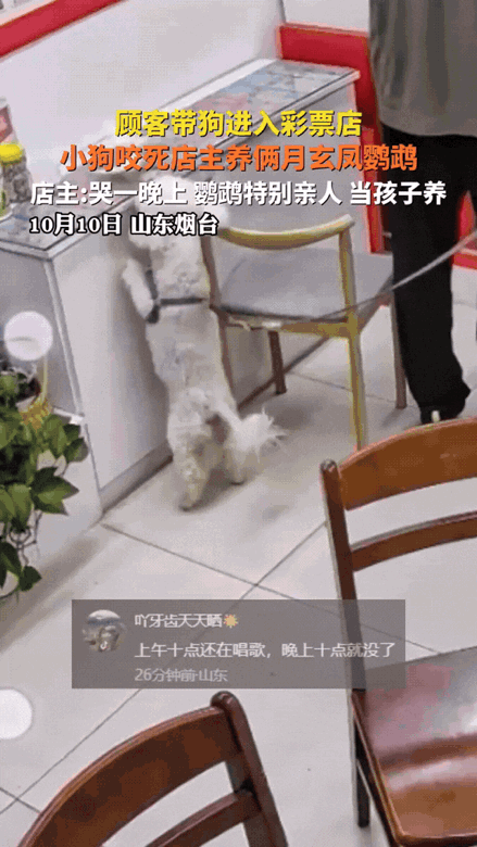 悲剧还是发生了！10月10日，山东烟台，一男子带着宠物狗去买彩票，狗狗看到店里的