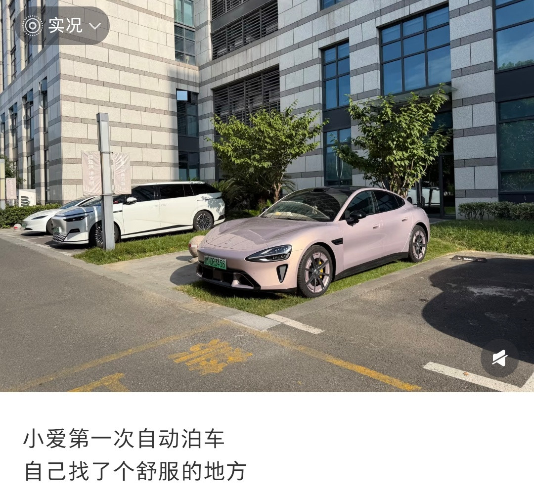 哈哈哈小爱自动泊车给自己选了一块舒服的地方