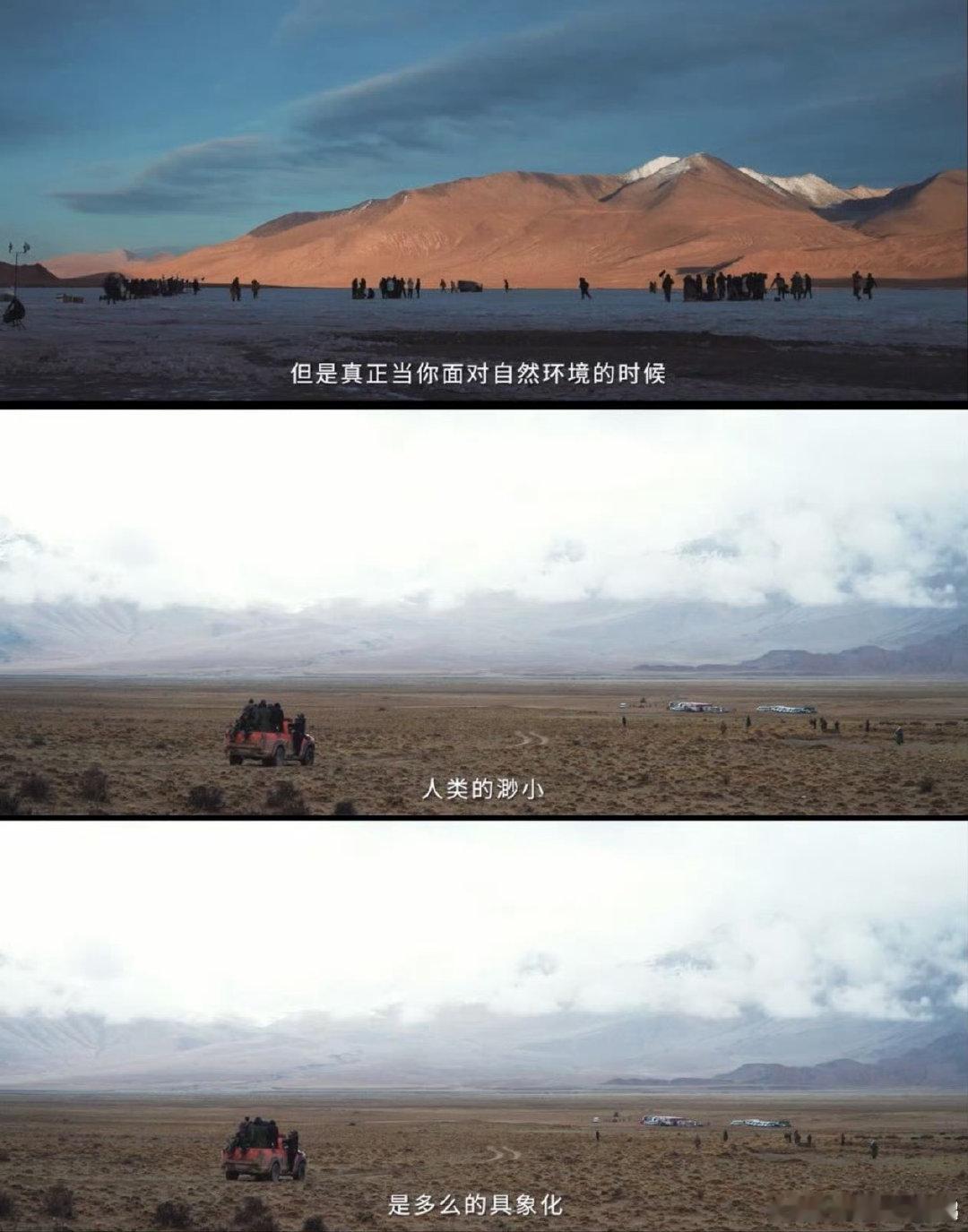 生命树把西北的野拍进骨子里《生命树》真绝！把西北的野性拍得淋漓尽致，巡山队的坚