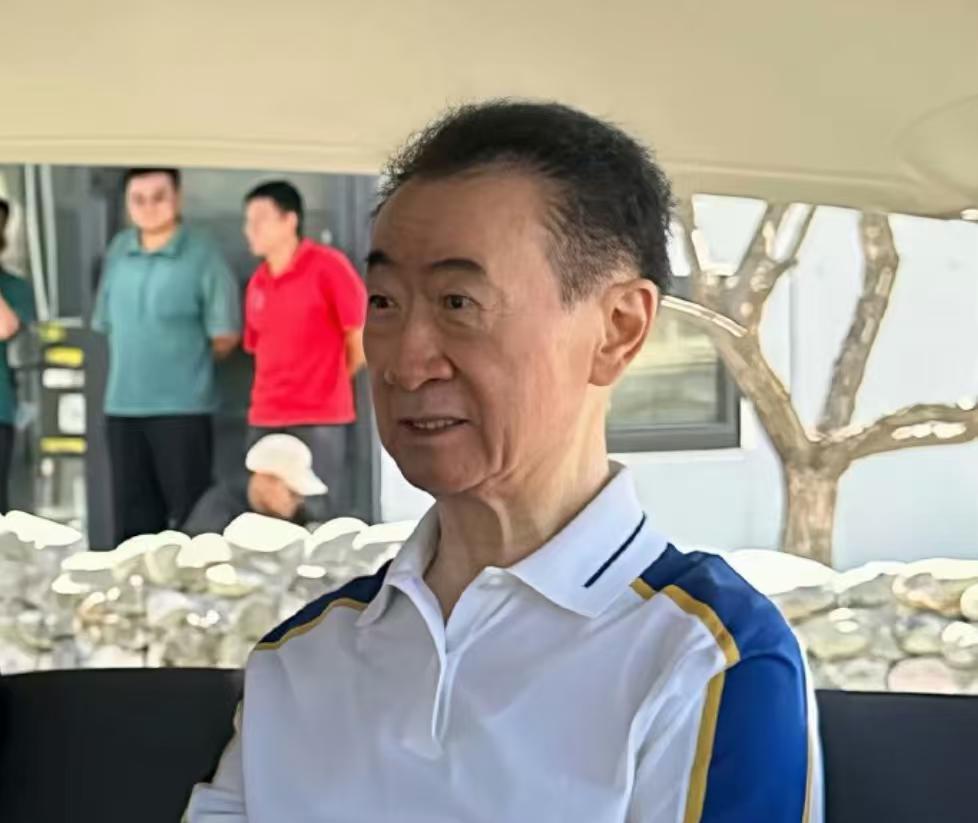 全网都在扒王健林为什么破产就没有人好好解释一下，他怎么赚的那么多钱吗？我专门去