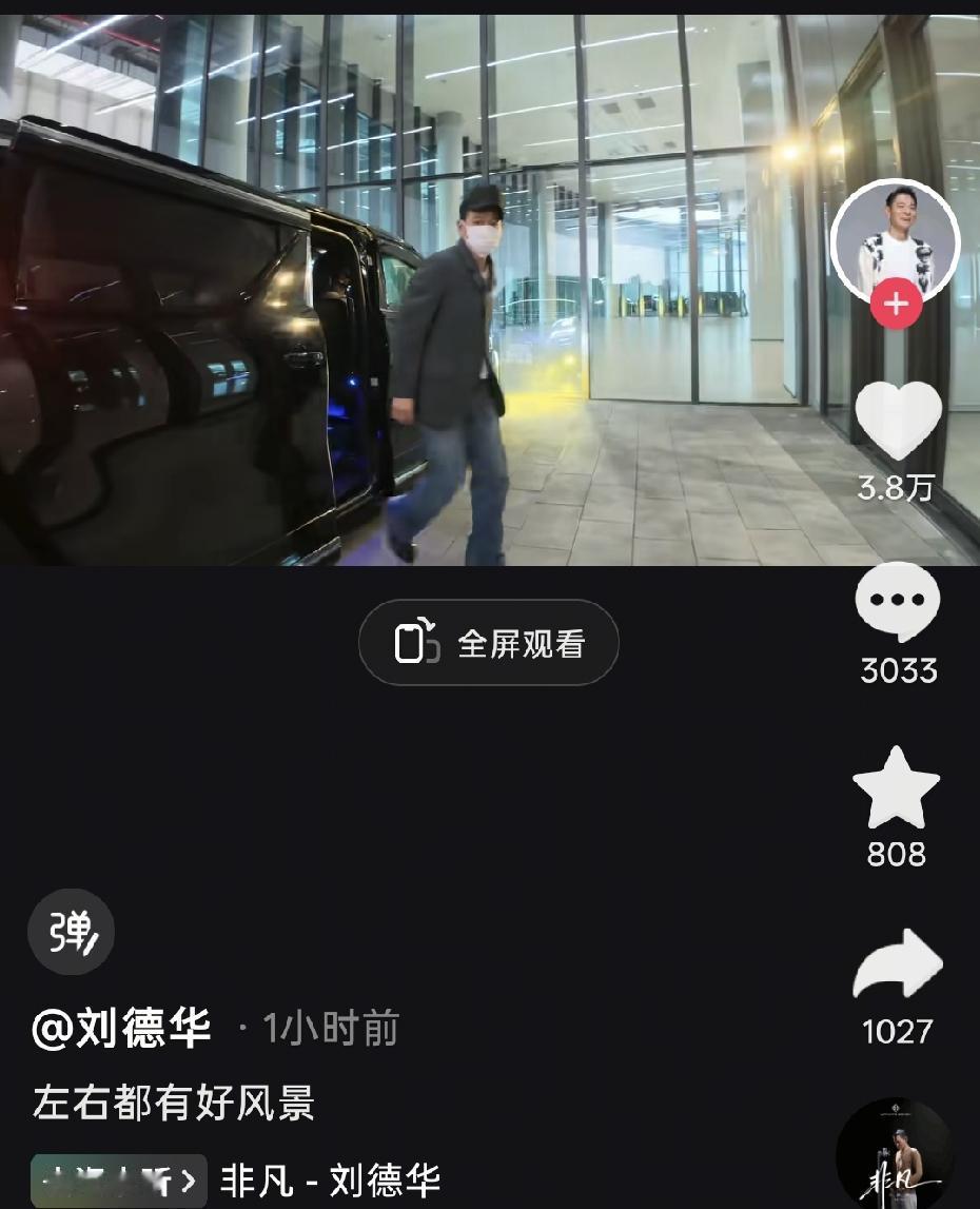 刘德华，这两天可真是人在家中坐，祸从天上来！就因为去华为发布会，坐自己的阿尔法保