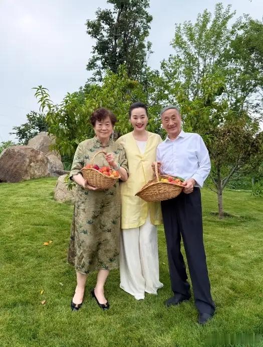 林依轮妻子西华带着父母在自家院子里摘桃子！西华爸爸都已经93岁，妈妈89岁，但老
