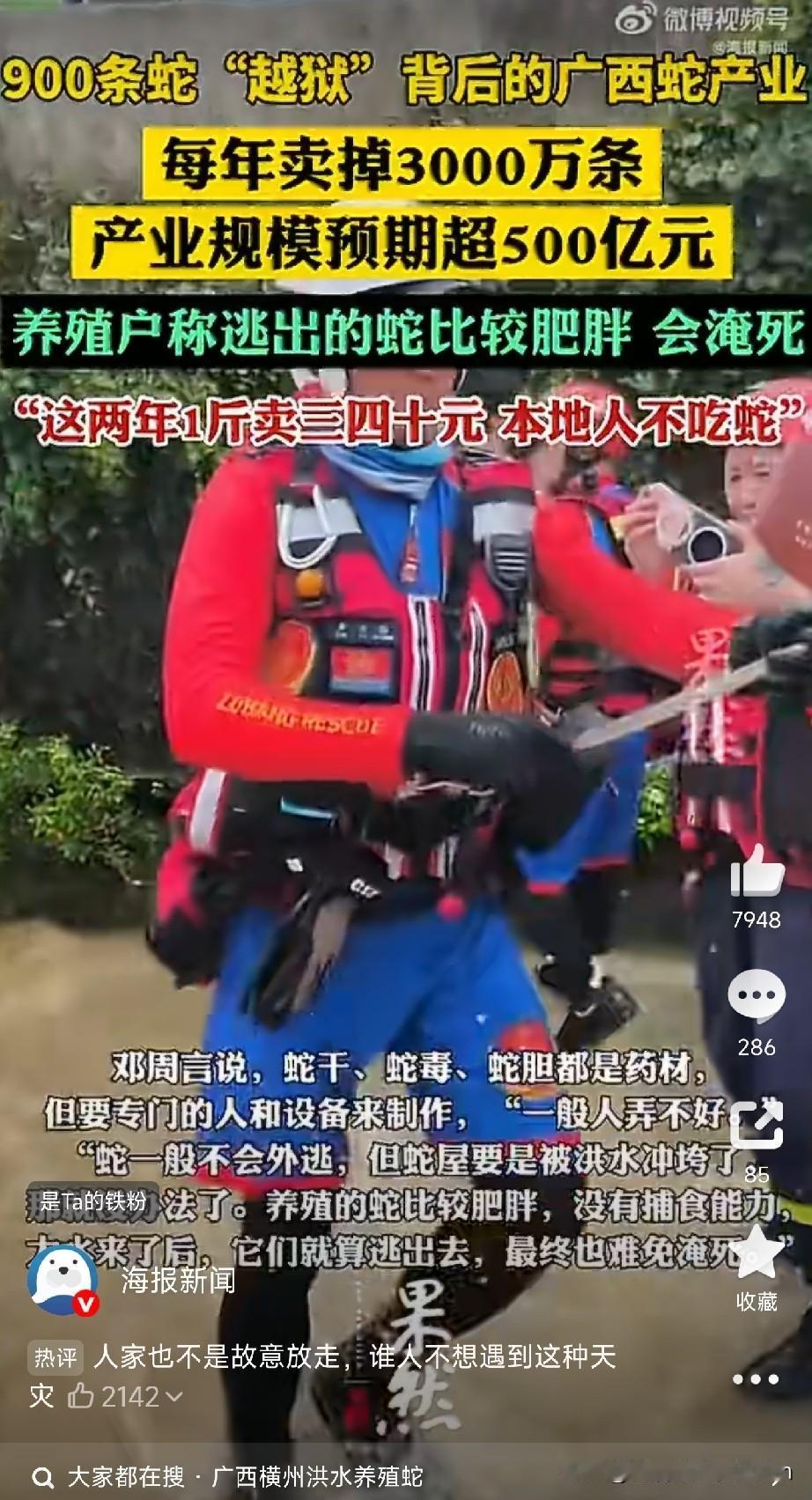 洪水冲出900条蛇，村民被咬身亡，没想到背后竟是500亿的大生意！这几天广西