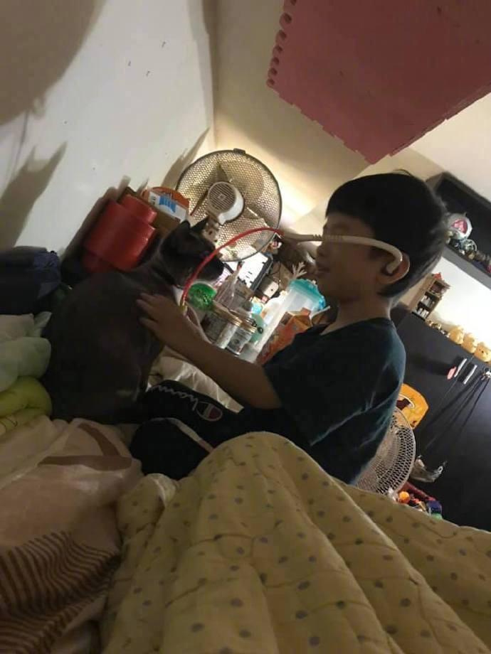 小主人太难伺候了..