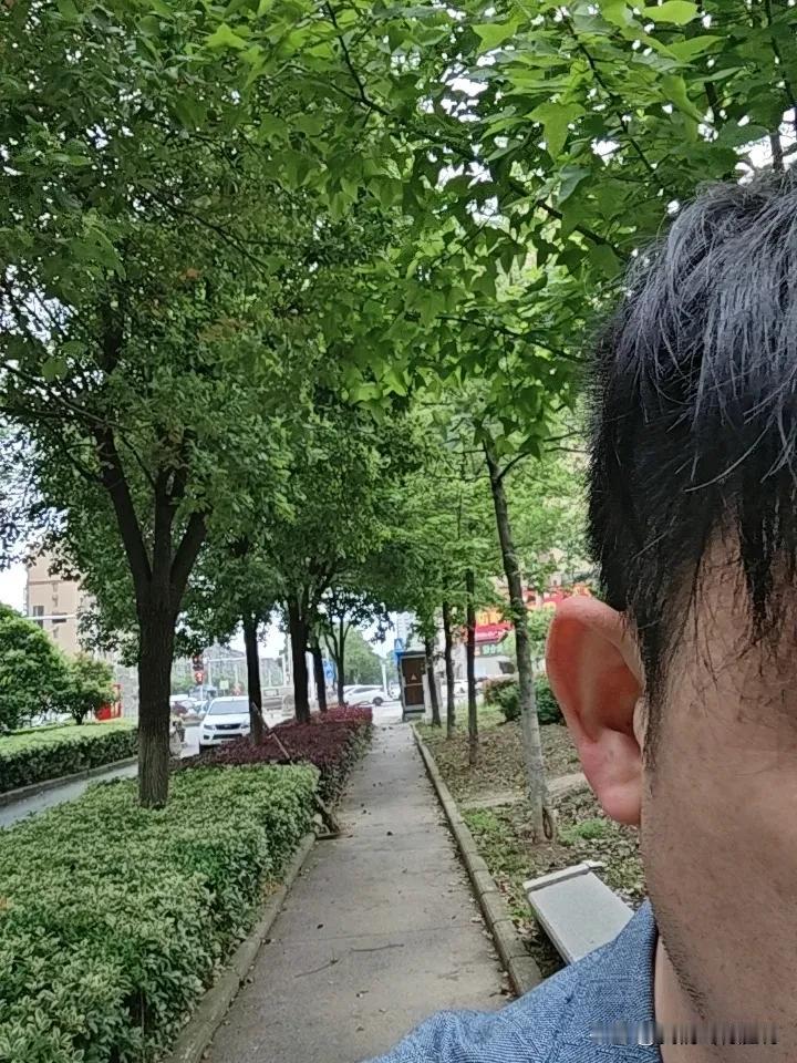 你有没有过这样的感觉——总觉得身后有人跟着，但一回头，好像又没什么异常。他没偷你