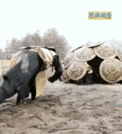 这个应该用什么方法破