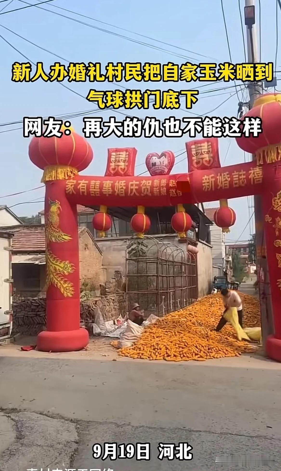 世界上没有无缘无故的爱，也没有无缘无故的恨。新人来到拱门前，被玉米棒拦住了去路