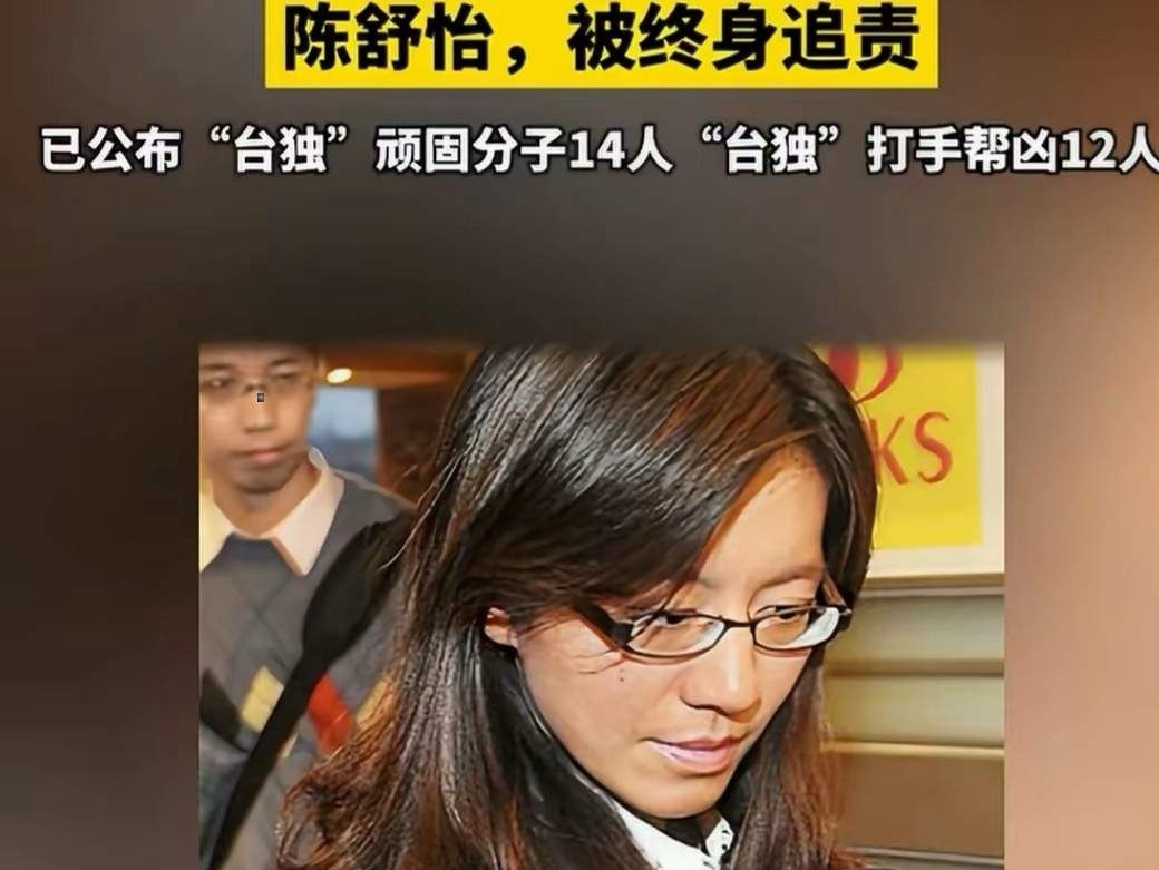 这反转惊掉下巴！蔡正元博士这腰杆子算是彻底挺直了，反倒是那个当初要把他往死里整的