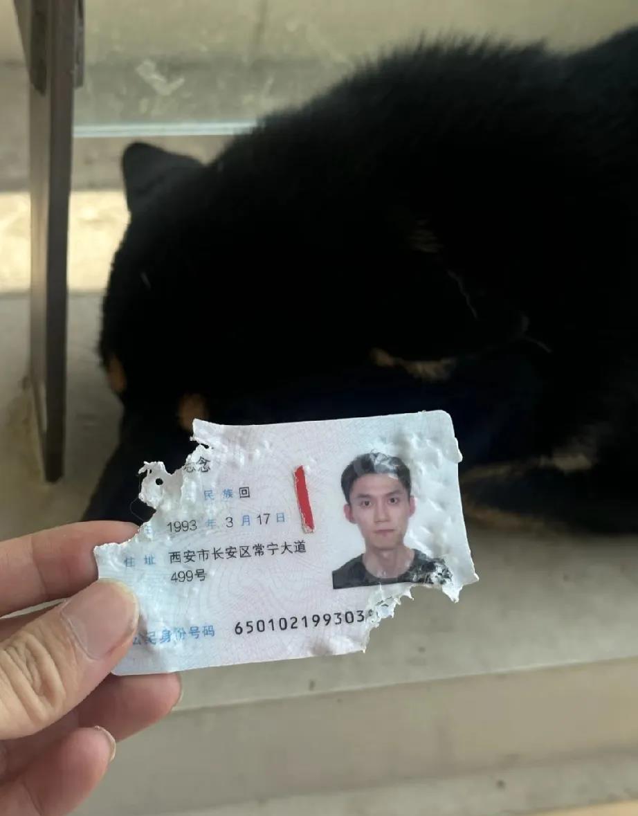 一觉起来天塌了，下午还要出差
