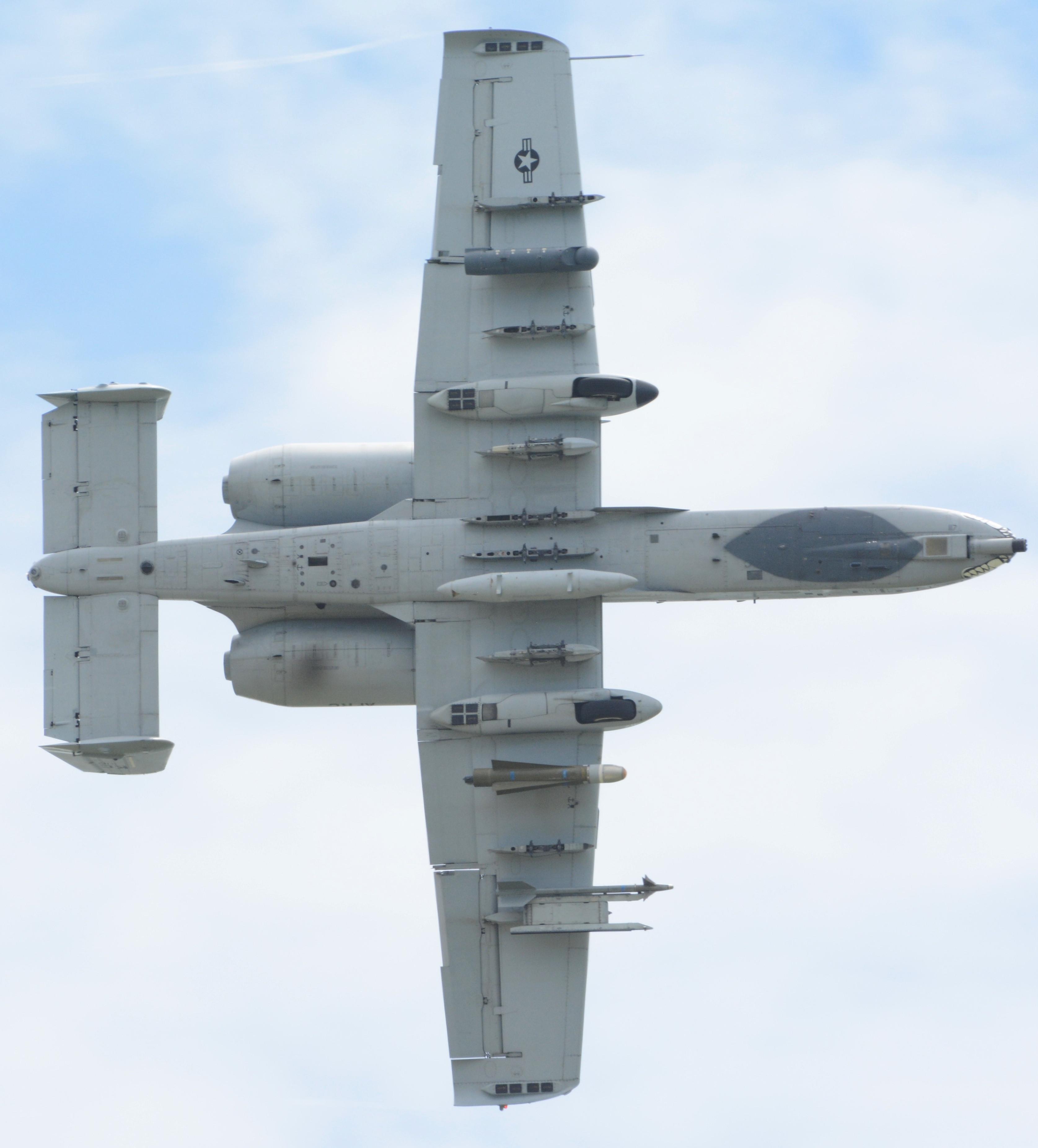 高分辨率图像A10的肚皮