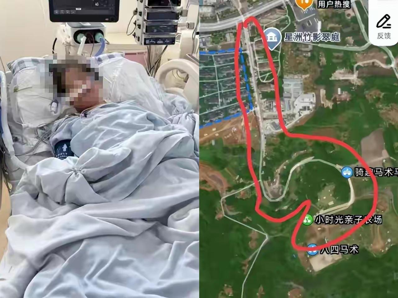 万万没想到这事居然反转了踩氢氟酸去世女子，不是去征迁区域散步，而是去种菜