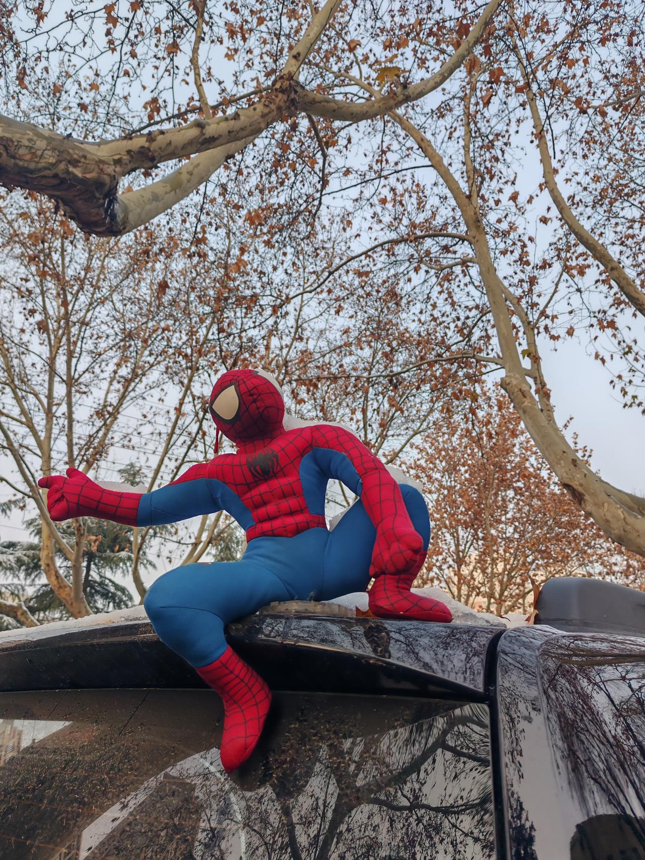 学校里的奇怪现象这几天跟一位老师聊天，她说自己从教22年，她学校里的变化太大。