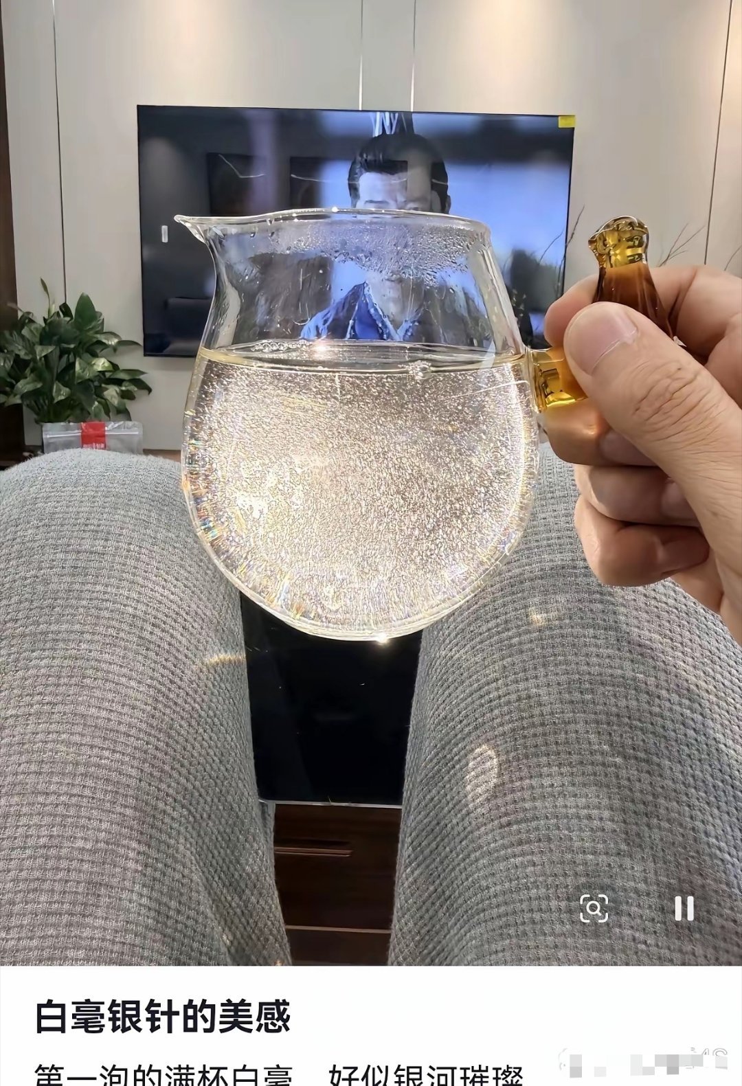 终于知道白毫银针是这个意思啊！