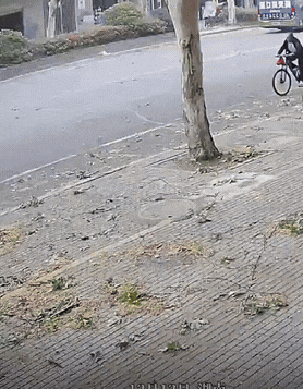 真衰啊！大叔骑着自行车，没有闯红灯，也没有危险骑行，却偏偏被路边的树枝莫名其妙