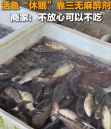 太恶心了，央媒曝光活鱼内幕！ 3月23日，据央媒报道，中国多地水产市场为方便运