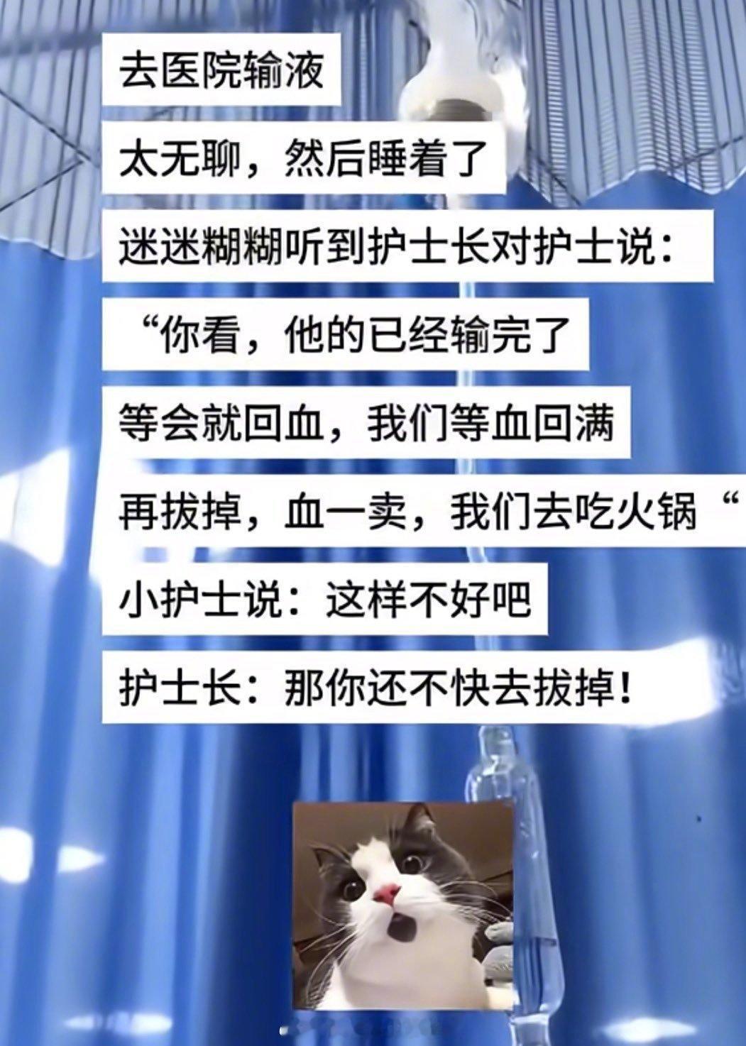 笑死。。。我看了好一会才反应过来