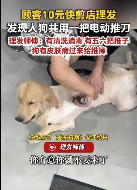 绍兴理发店人狗共用电推刀，这理发师傅与店老板有仇，想倒闭是吧?特意说狗有皮肤病，