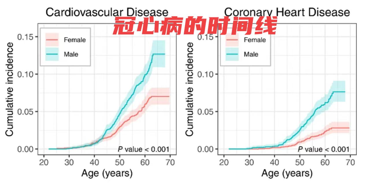 冠心病发病的时间线冠心病是心脏内部动脉中的斑块堆积所导致的，常与高血压、高血脂