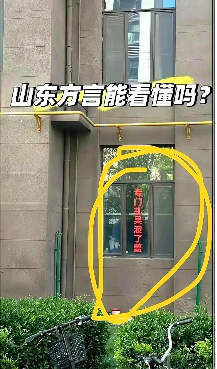 山东人在小区里看到窗户上贴的“专门扎果波拉盖”，当场笑出声！外地朋友估计看懵了