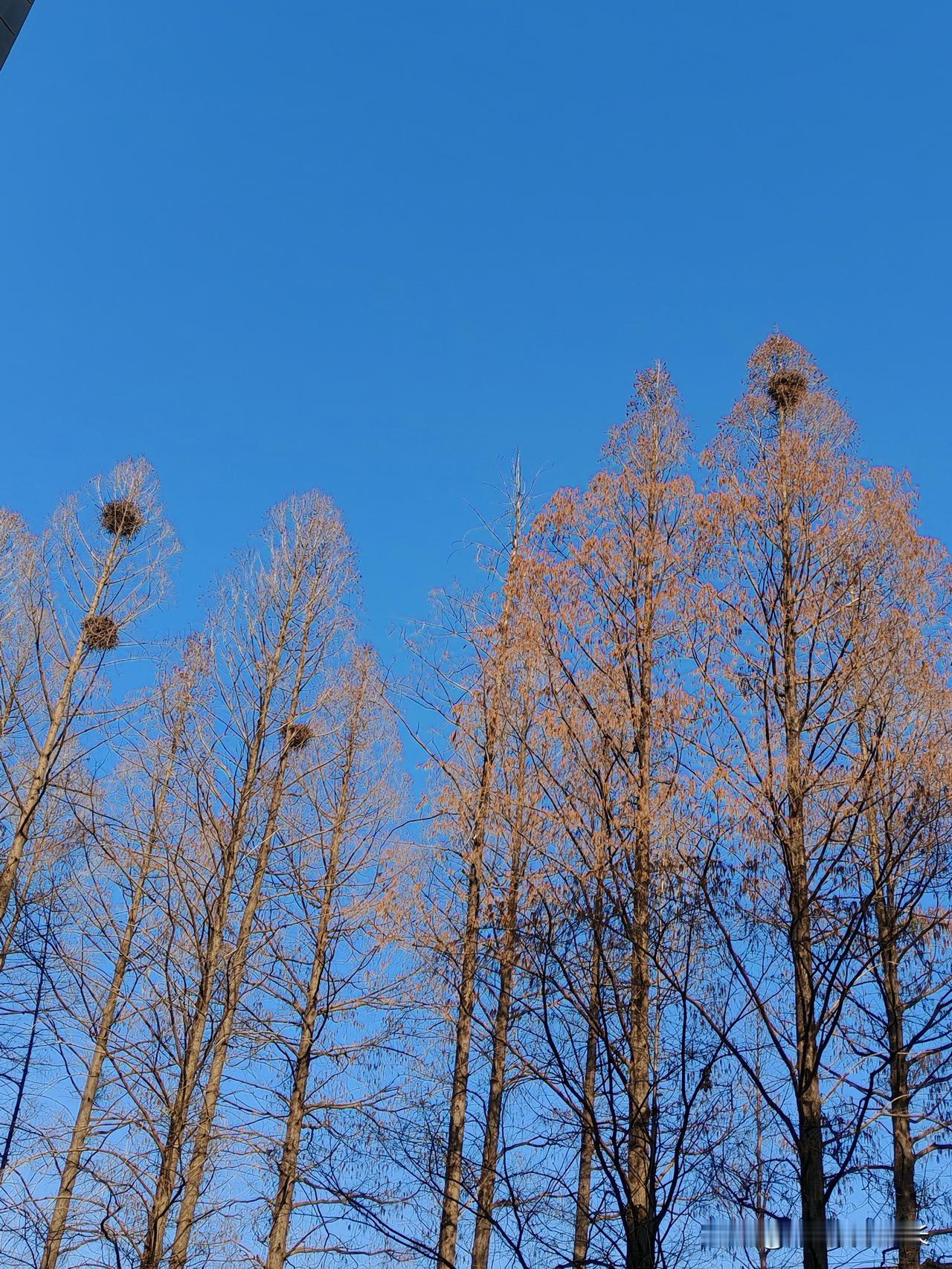 体制内退休，退休金不低，却活得比谁都抠：一句话听哭无数父母昨天接到一个朋友
