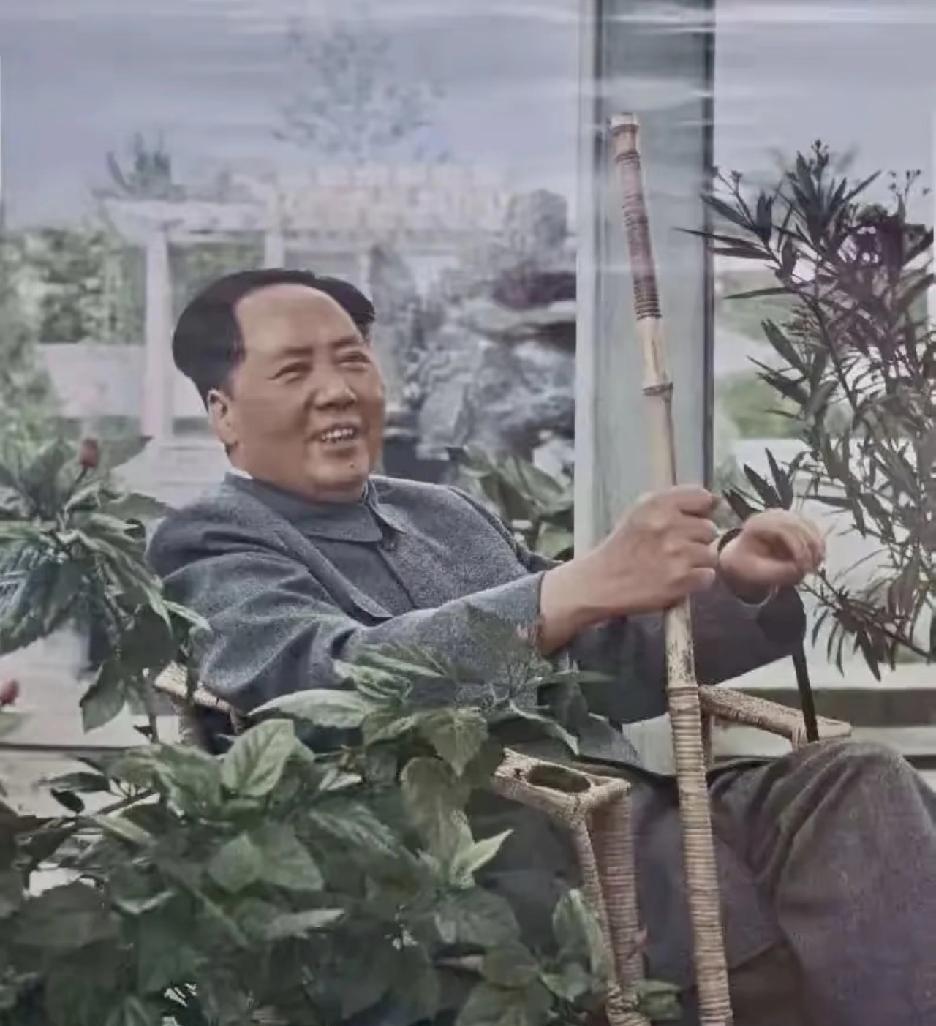 泛黄老照片中，毛主席手持竹杖的朴素身影深入人心，而他在延安的衣着更藏着动人细节。