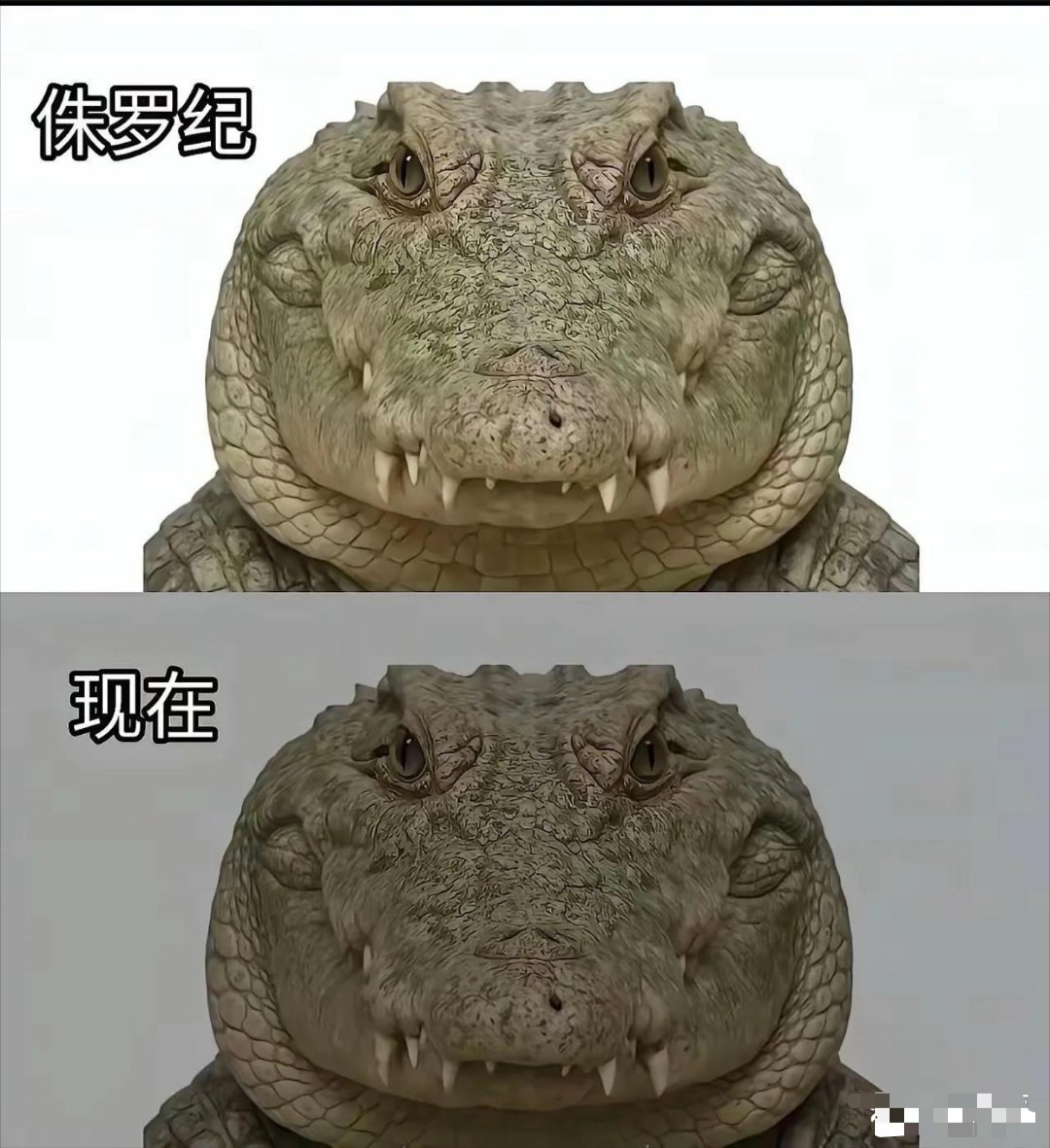 老天把你设计的太完美了