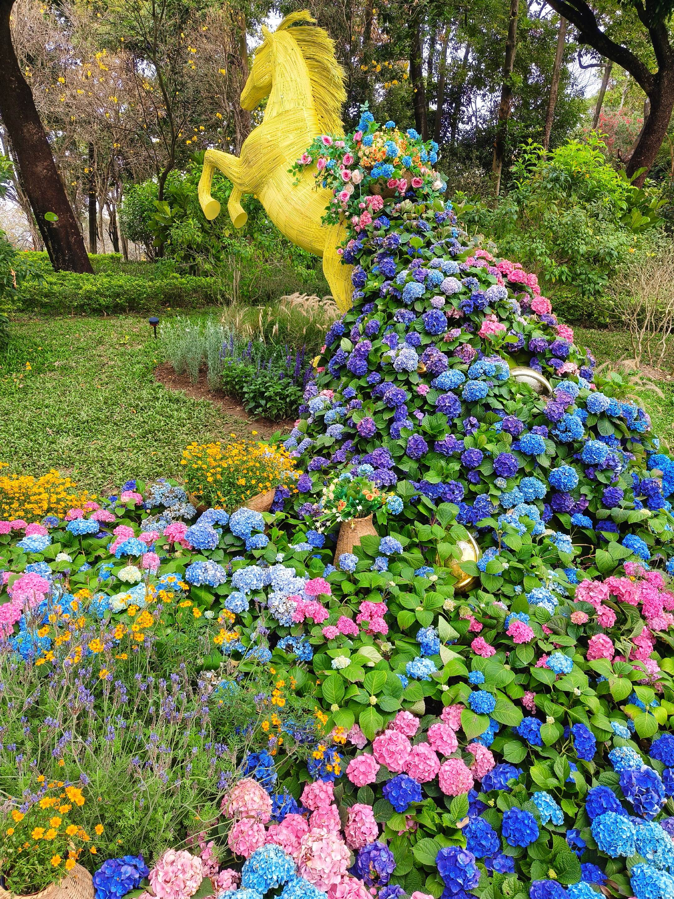 闯入广州的莫奈花园！云溪植物园出片指南。广州的春天，是属于繁花的季节！...
