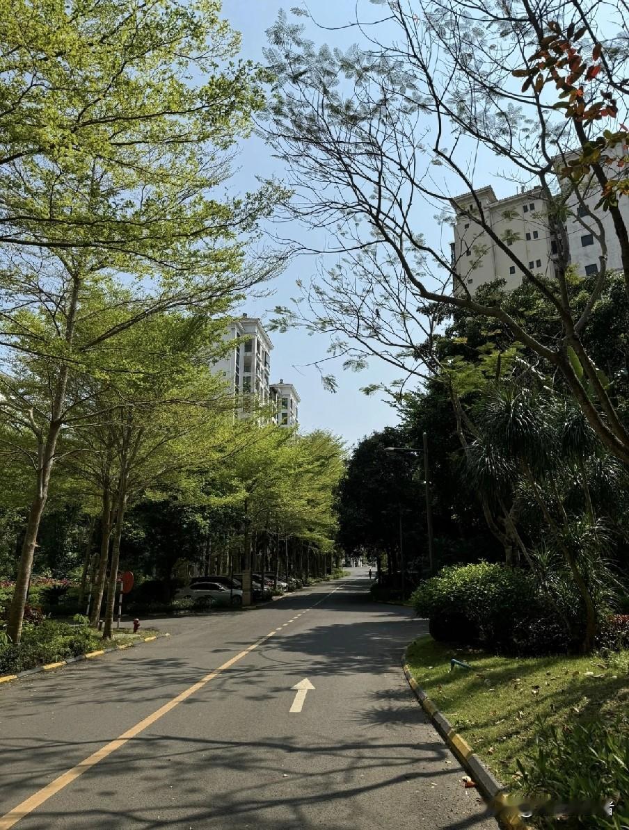 发现没有人到中年最好的养生不是运动也不是饮食而是少和人打交道交集越