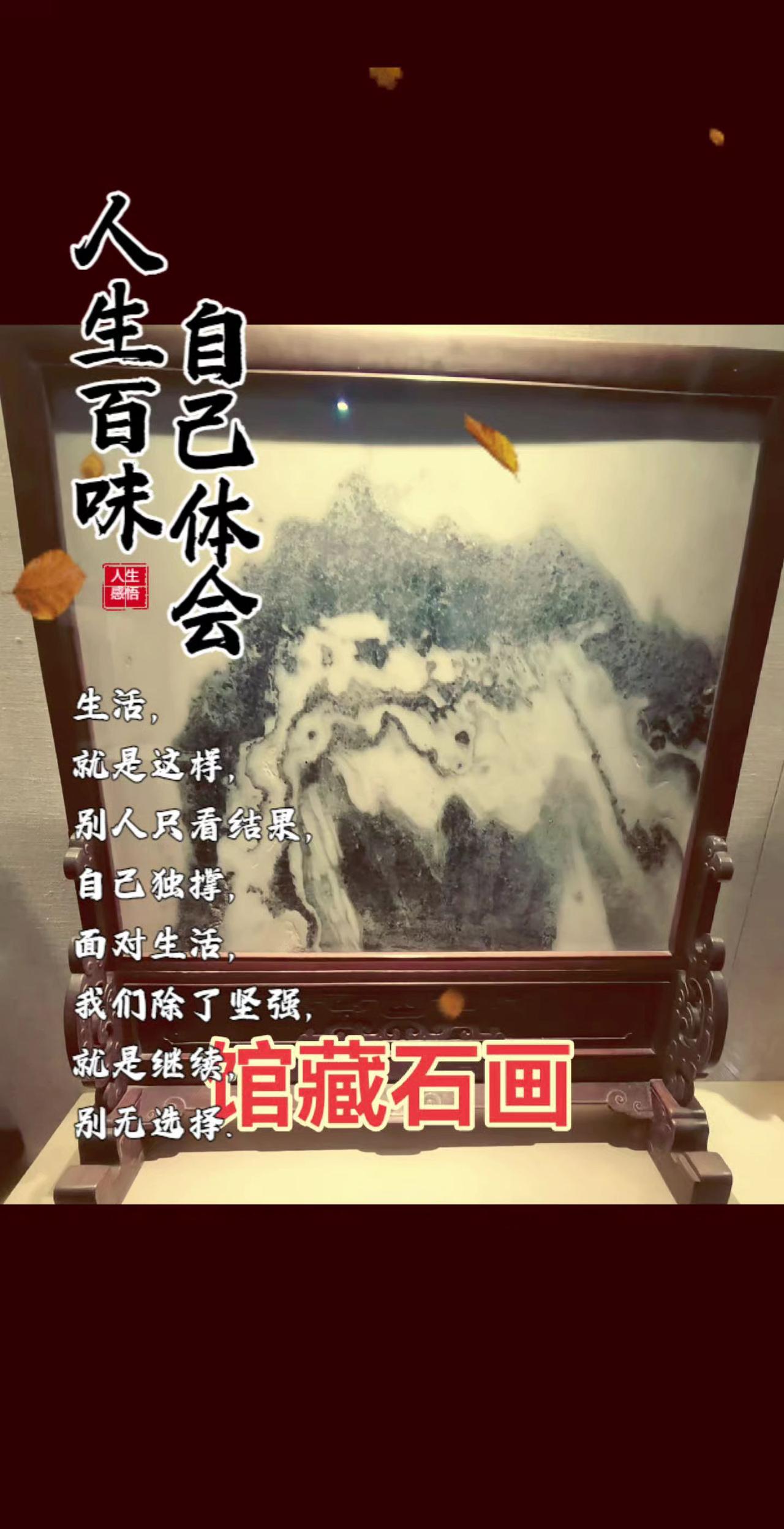 藏品欣赏赏石艺术天然画面石奇石欣赏国画石艺术