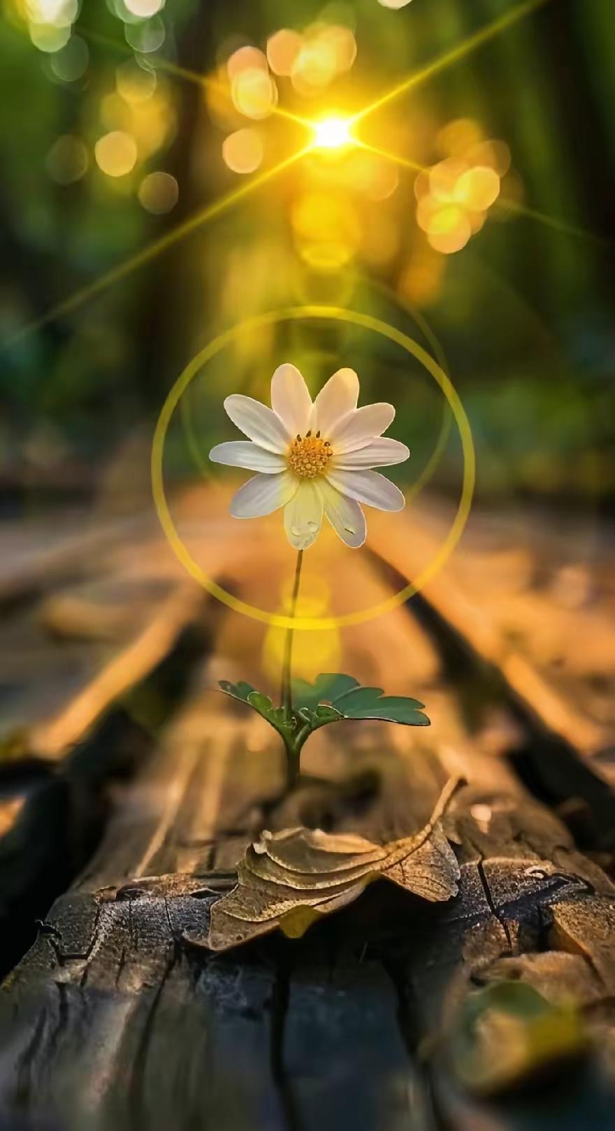 期中考试成绩出来了，孩子这次发挥得还不错。记录一下。语文103数学115英