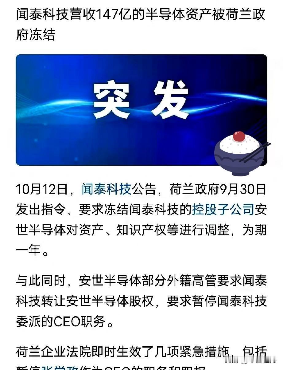 99%股份一夜被抢，中国老板只剩1股​荷兰一纸冻结令，把张学政踢出董事会，还把