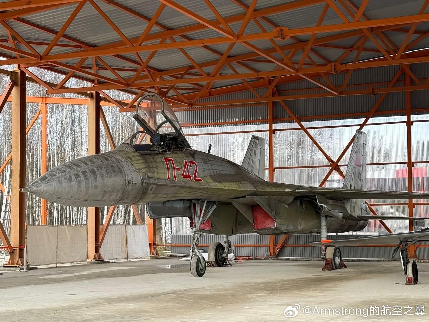 经过两年的准备，著名的苏-27破纪录飞机P-42已经进入奥列什科沃航空公园的新展