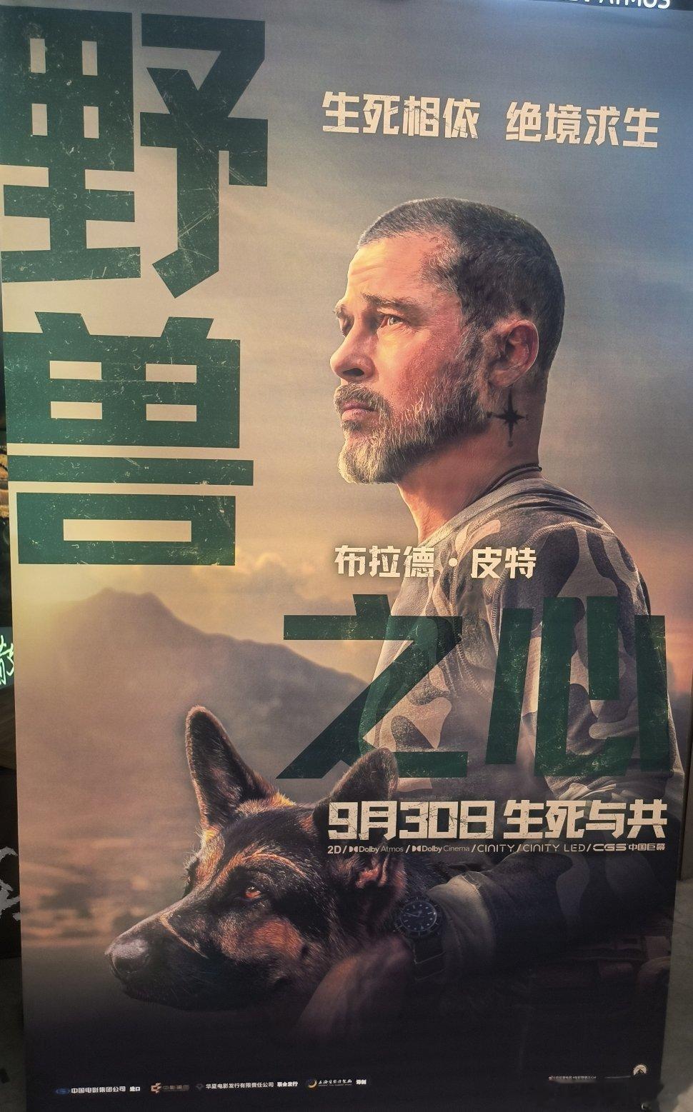 布拉德·皮特新片《野兽之心》远超预期。本以为只是普通荒野求生电影，看完才被一人一犬的羁绊深深打动。老
