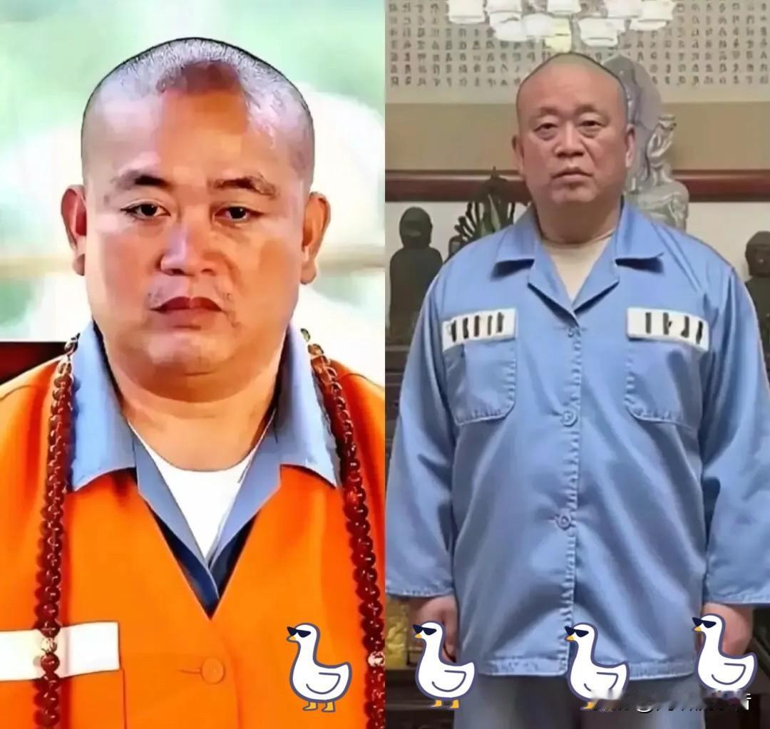 释永信事件经过四个多月的调查取证，终于有了结果，新乡市人民检察院对释永信进行了