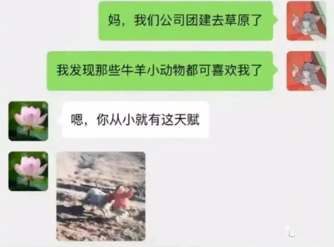 看出来了小动物很粘你