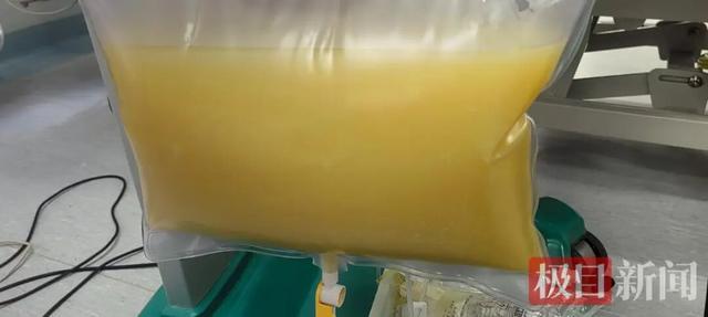 惊魂武汉！大学生寒假放纵狂欢，凌晨腹痛险丧命，体内抽出“牛奶血”震惊医护，背后真