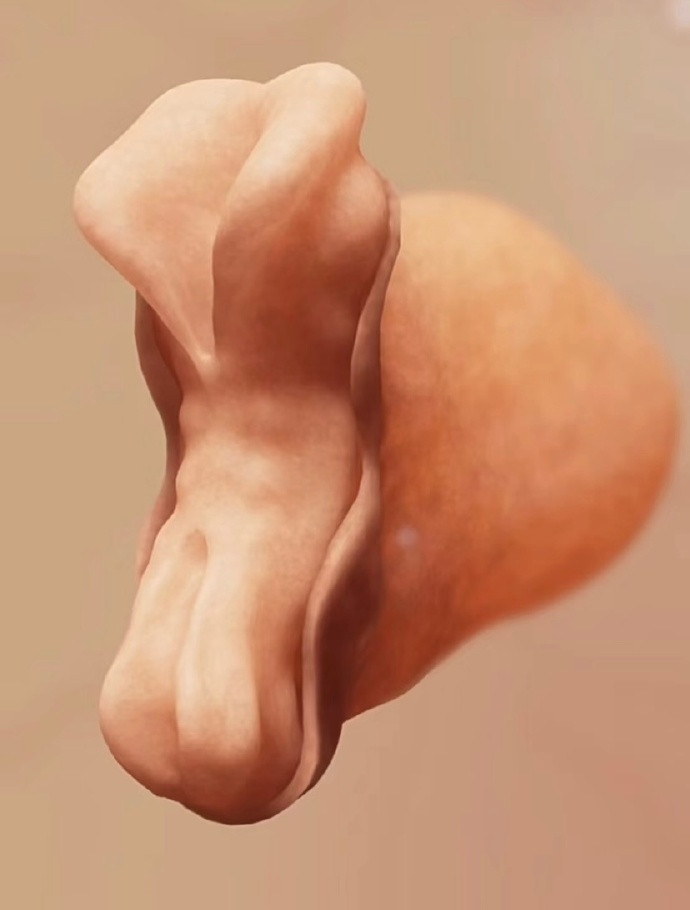 生完孩子的姐妹嘴是真严啊