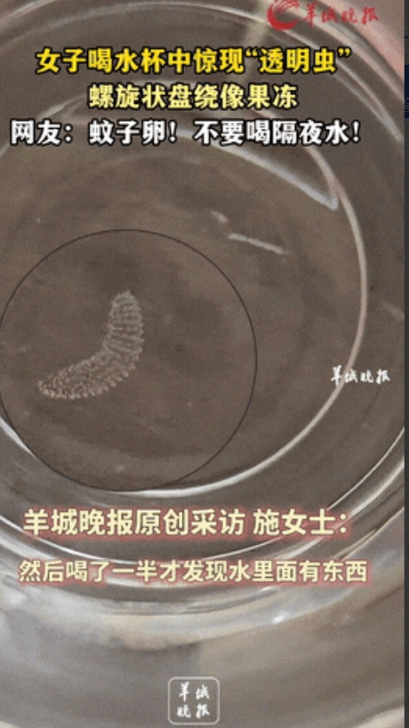 太吓人了！”7月7日，云南大理，一女子起床前喝了半杯隔夜水后，竟然惊奇地发现杯子