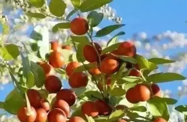 这种小零食, 胜比安眠药, 让你一觉到天亮!