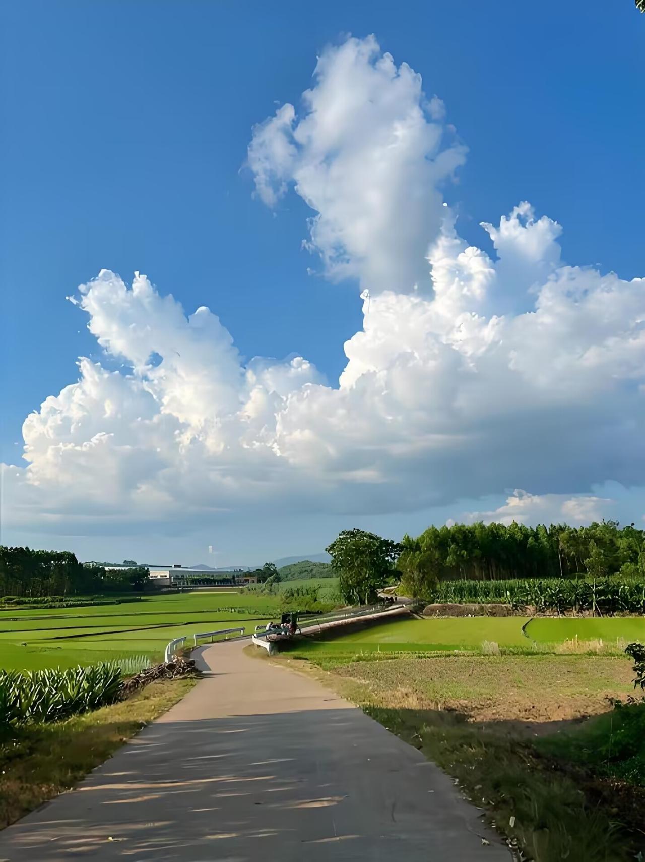 你知道村里最有面子的8种人是哪些人吗？今儿在村口晒太阳，听见大爷大妈们掰扯“