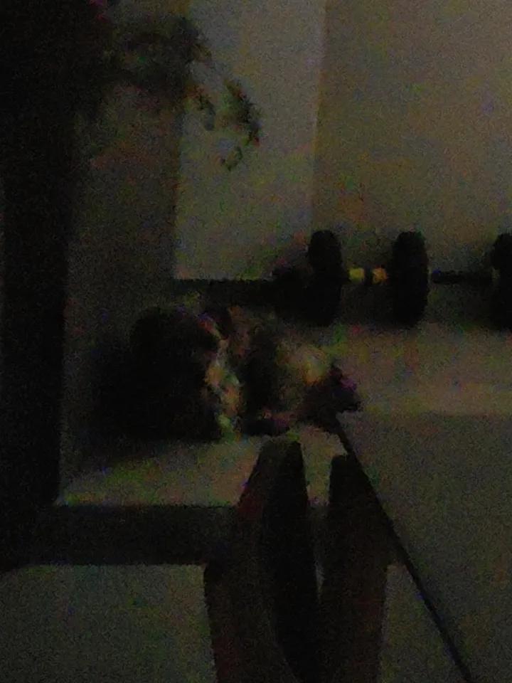 小狗真的有一套自己理解世界的方法吧。我家狗以前从不往我爸面前凑，今天我妈回老家