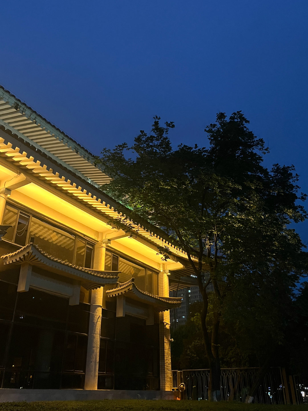 📍西安·day3陕西省美术博物馆—大兴善寺—陕西省历史博物馆—大雁塔—大唐不夜城雁塔区一日游，南线