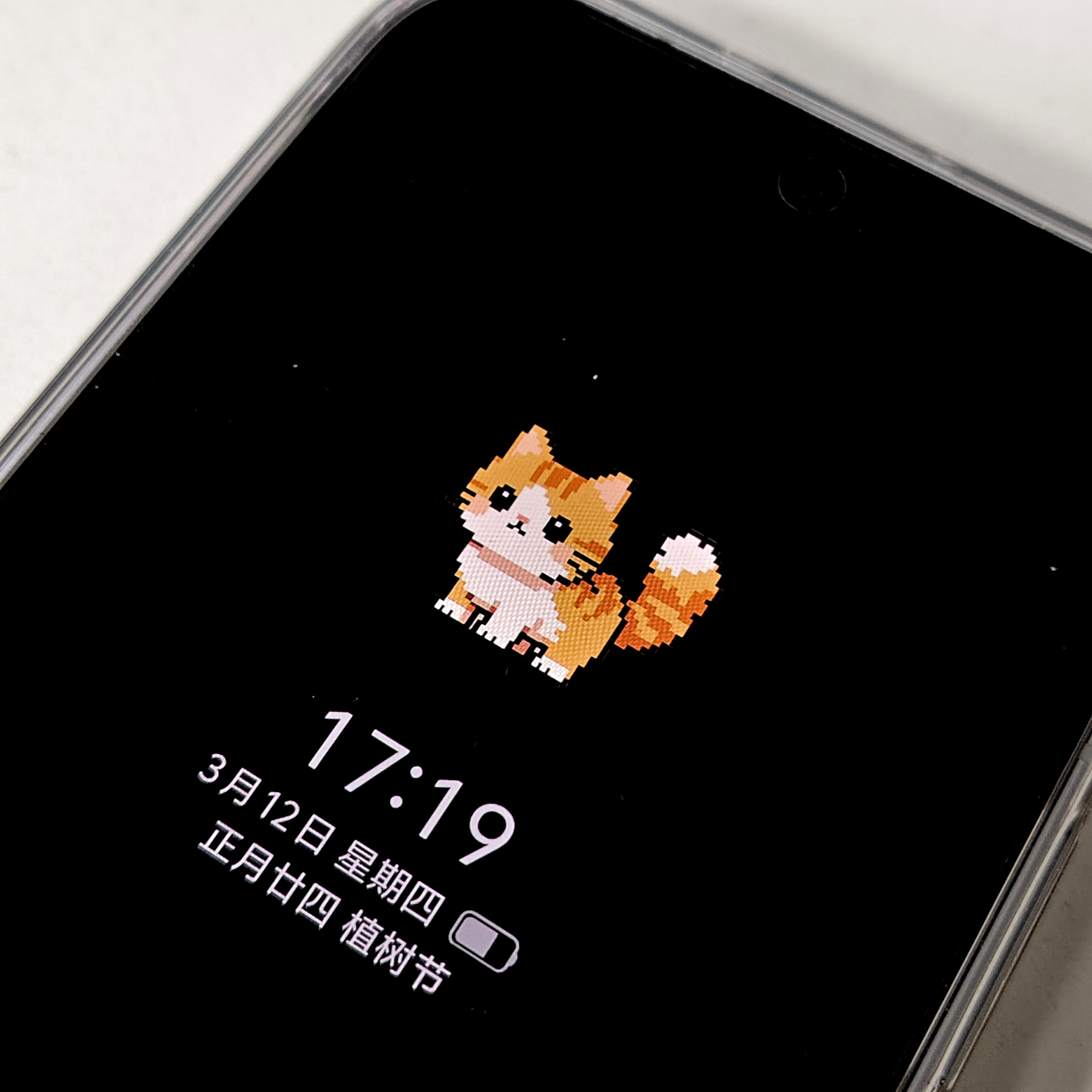 花式锁屏|在息屏显示上捉到了一只可爱的小猫咪~