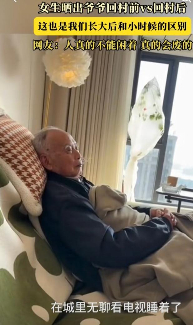 在城里的爷爷退休以后，无事可做，整天在家里看电视，经常是看着就睡熟了。人也变得