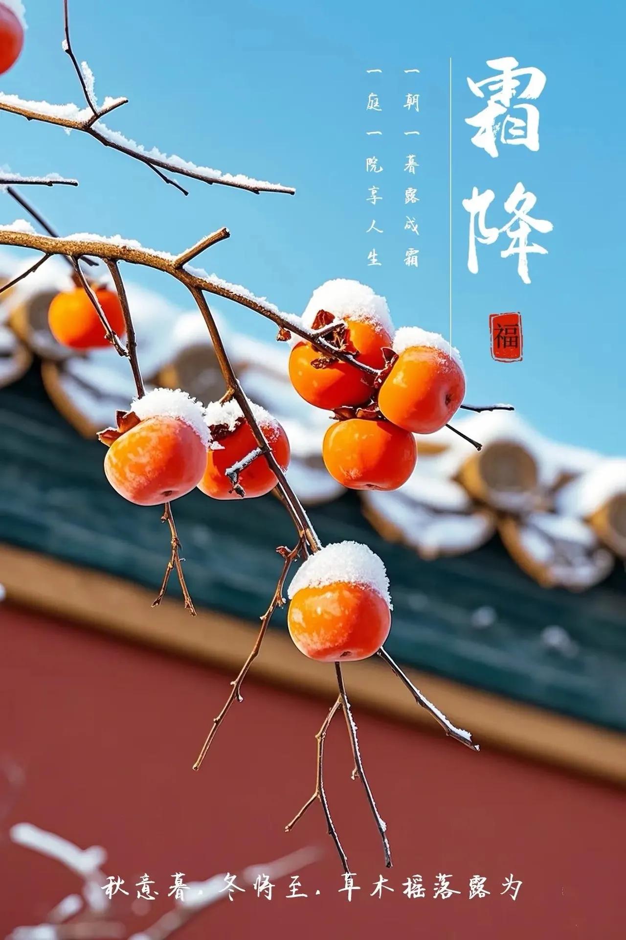 霜降吃柿子的由来，一是此时柿子刚好成熟，果肉清甜软糯、营养丰富，是当季“应景”的