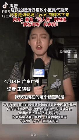 广州番禺，4月14日，一业主在楼道喂养流浪猫，广东广播电视台《DV现场》的记者到