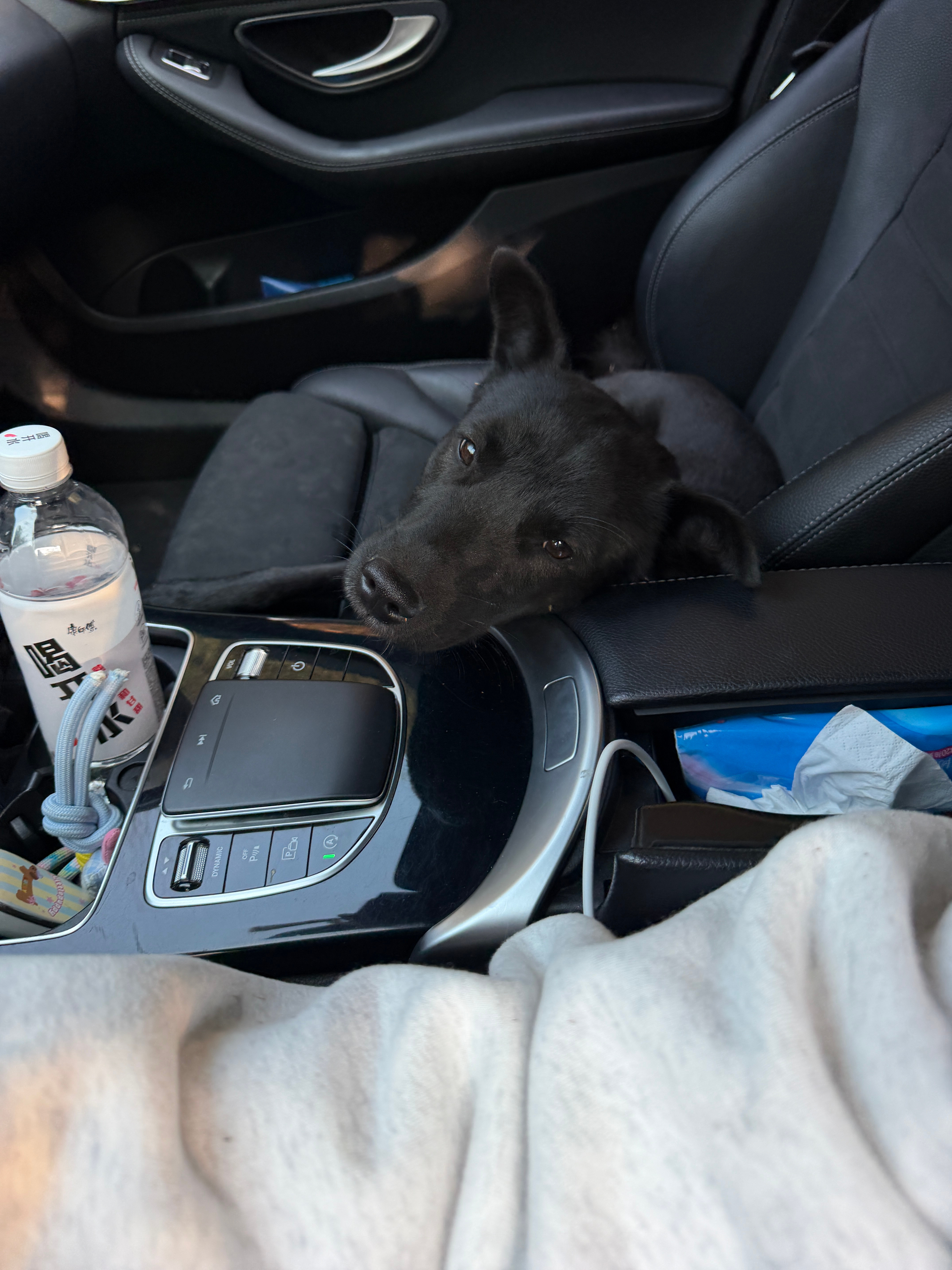 没事喜欢去山里