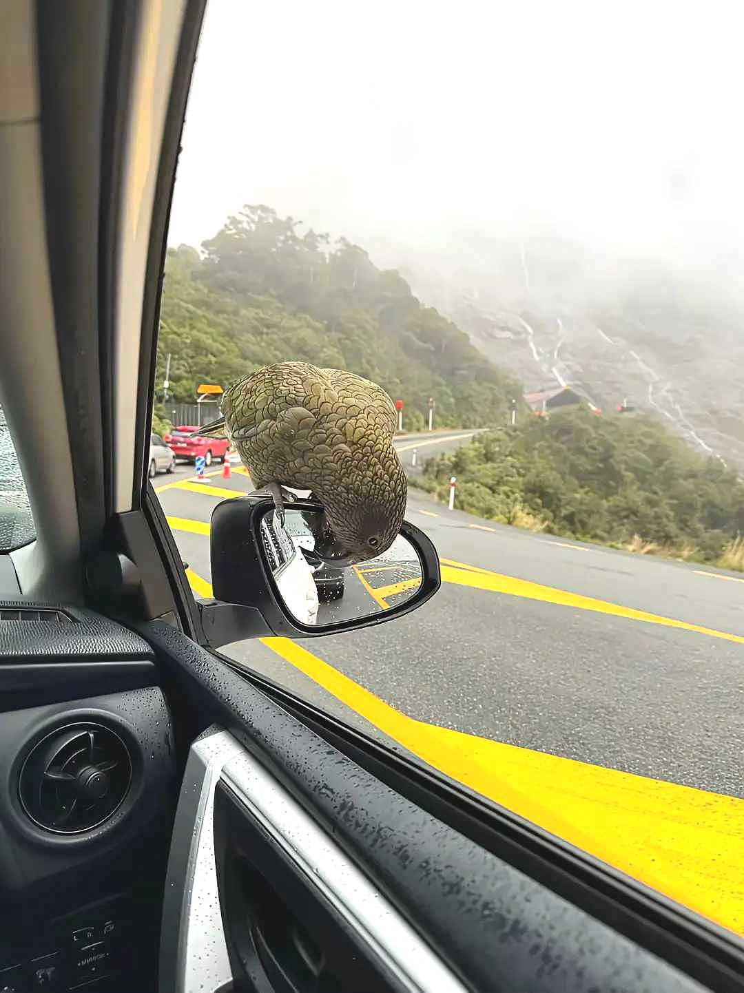 不讲武德，敲碎就飞跑了。