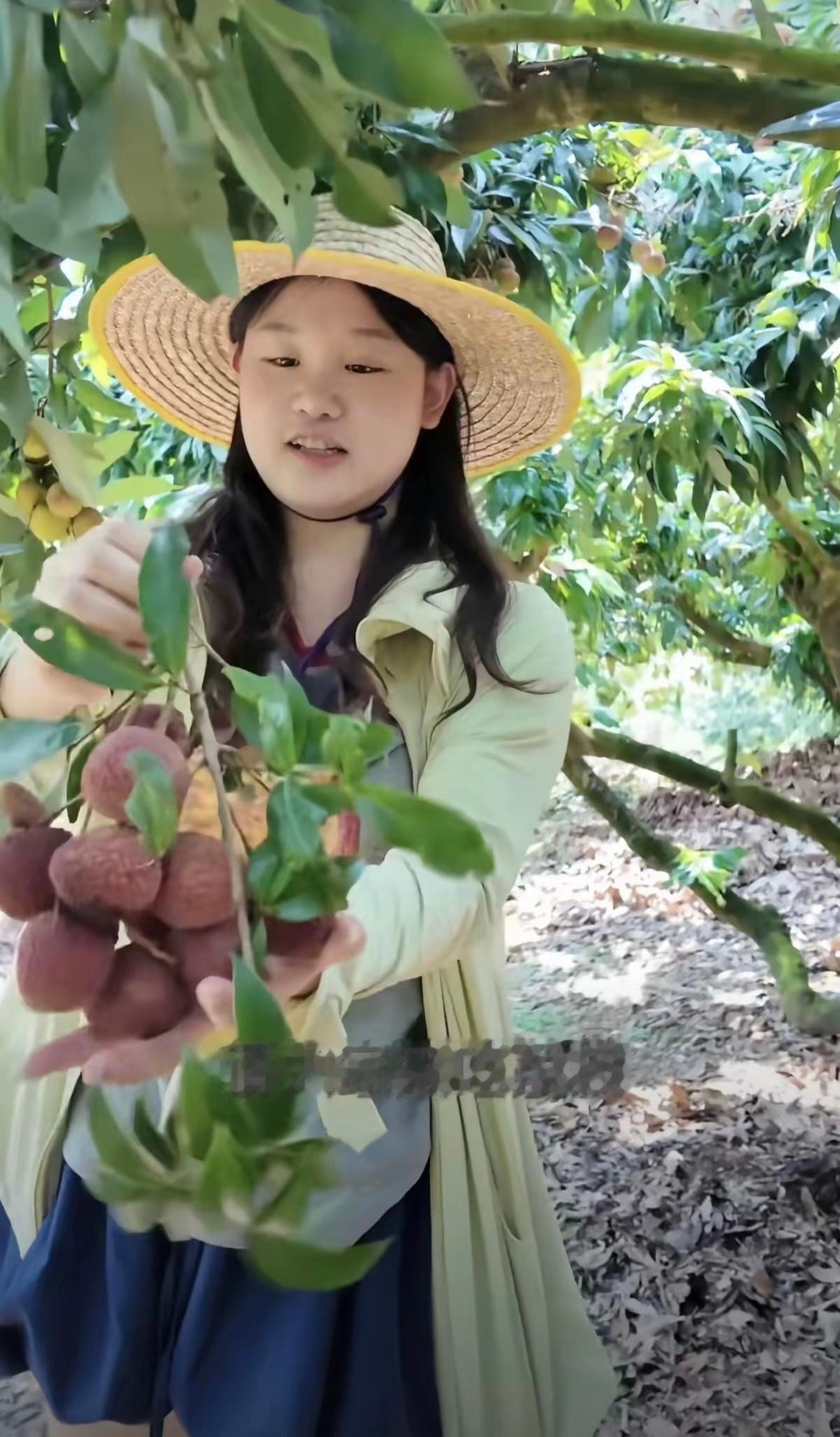 张家齐和全红婵关系这么好吗？都去和全红婵哥哥一起卖荔枝了。