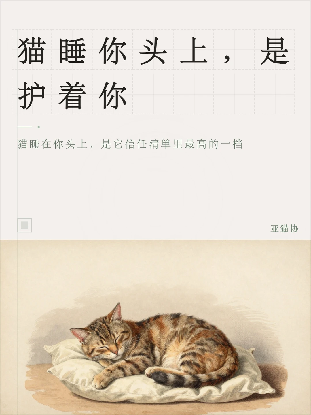 猫睡你头上，是护着你